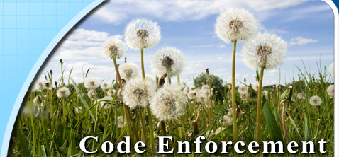 Code Enforcement